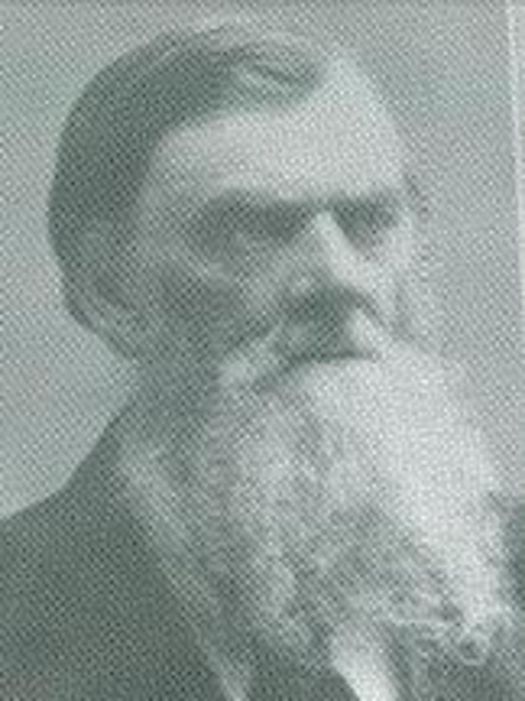 John Mower (1826 - 1896) Profile